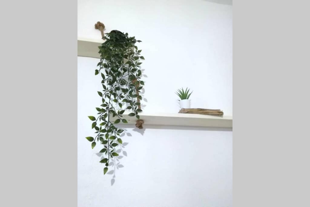 Rian - 2 Bedroom In Apartment Porto